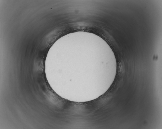 X0000112490820200908241323