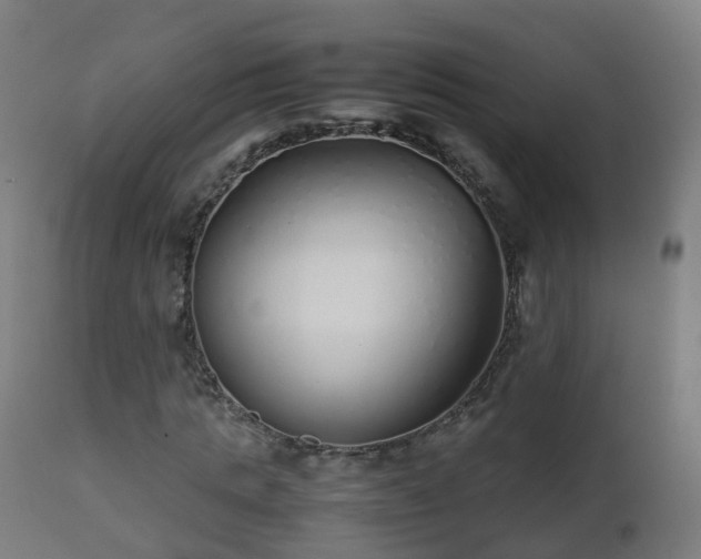 X0000112490821200908241323