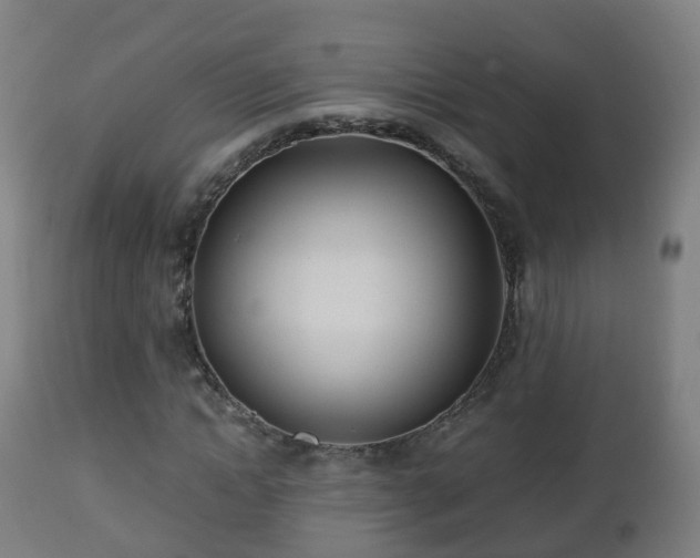 X0000112490822200908241323