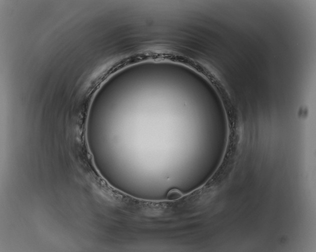 X0000112490823200908241323