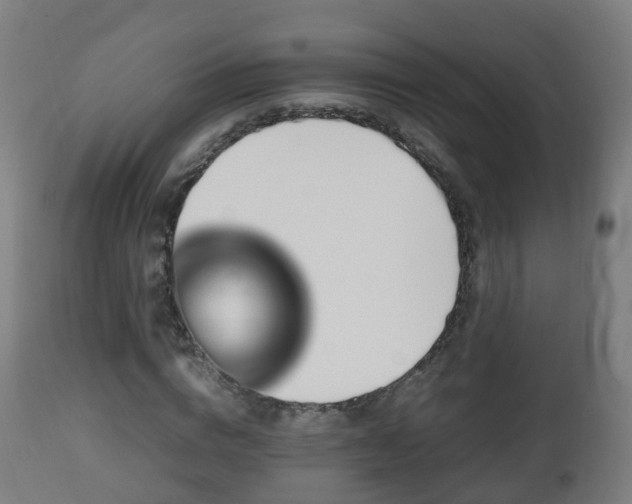 X0000112490824200908241323