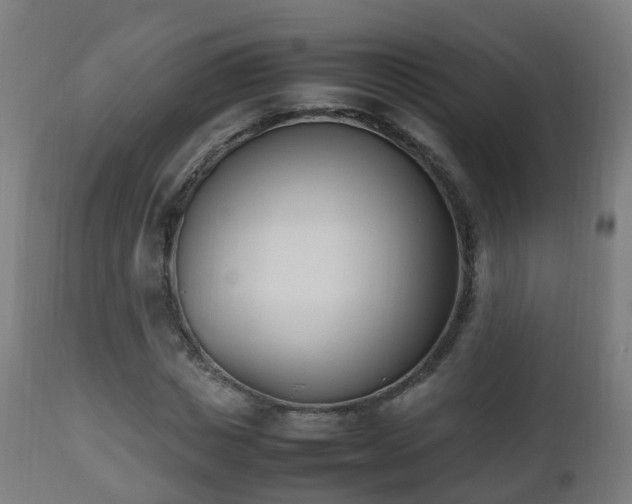 X0000112490825200908241323