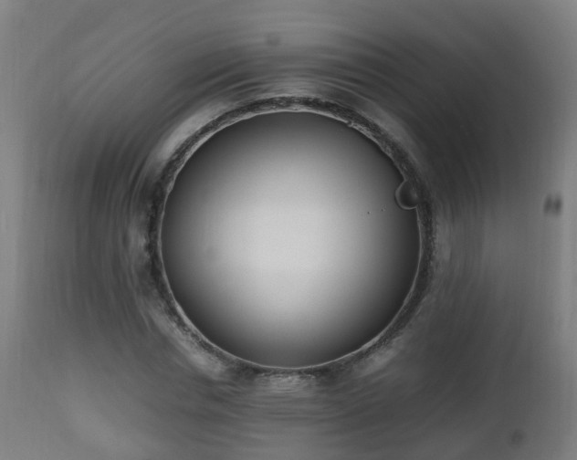 X0000112490826200908241323