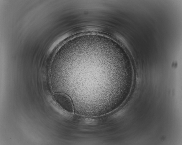 X0000112490827200908241323