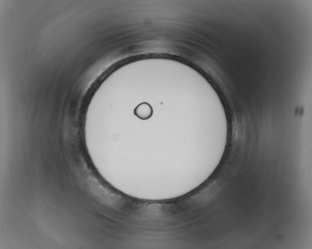 X0000112490828200908241323