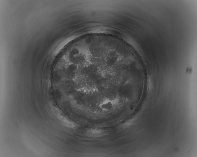 X0000112490829200908241323