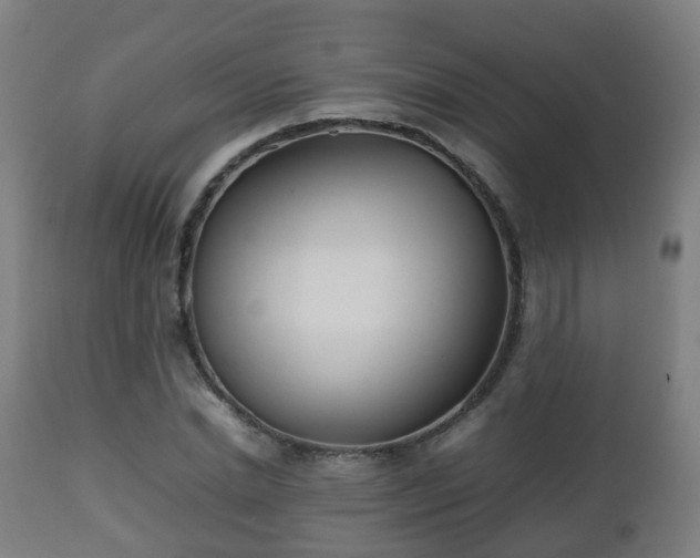 X0000112490830200908241323