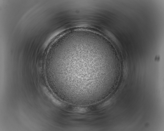 X0000112490831200908241323