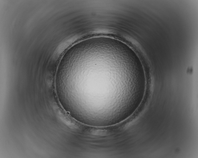 X0000112490833200908241323