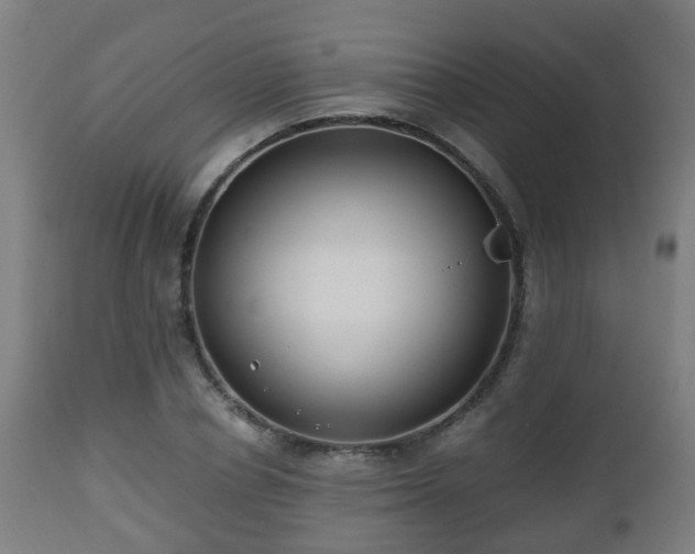 X0000112490834200908241323