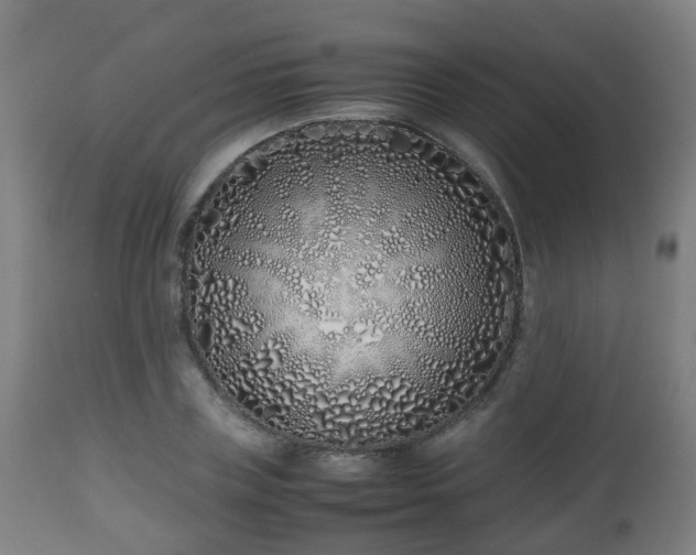 X0000112490835200908241323