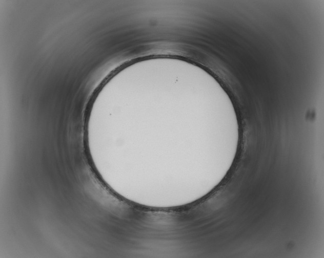 X0000112490836200908241323