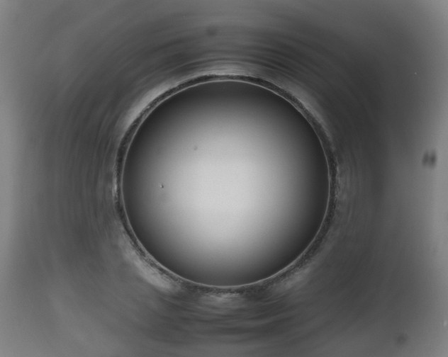 X0000112490837200908241323