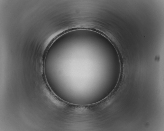 X0000112490838200908241323