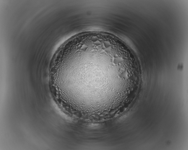 X0000112490839200908241323