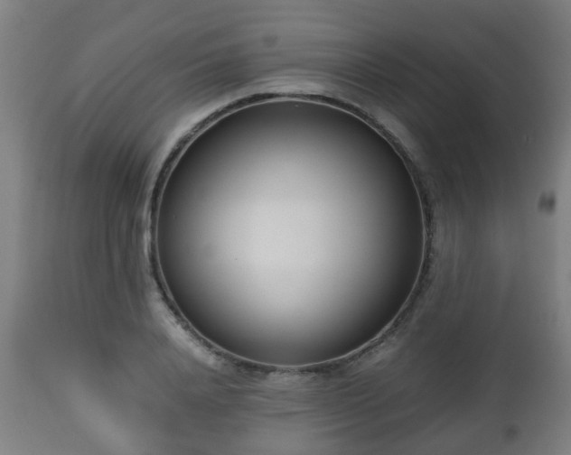 X0000112490840200908241323