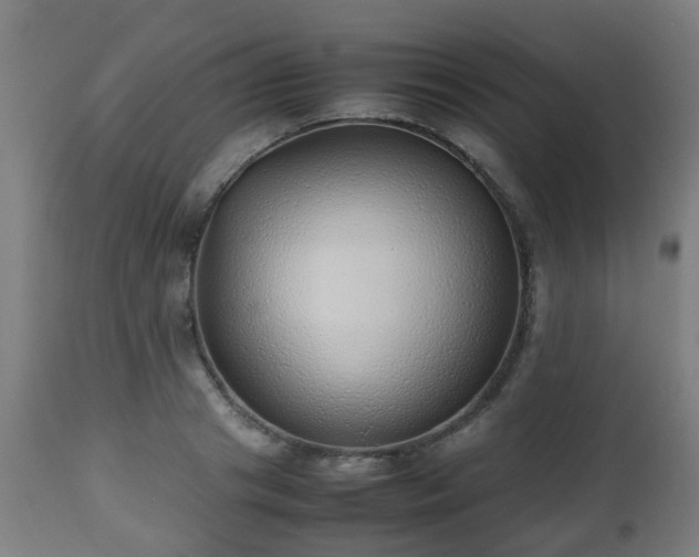 X0000112490841200908241323