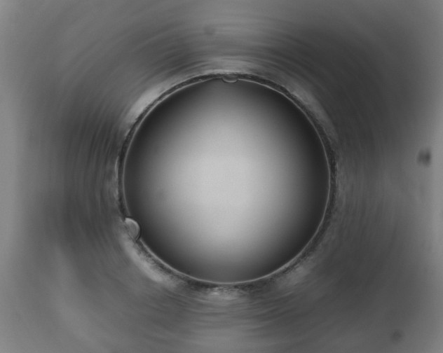 X0000112490842200908241323