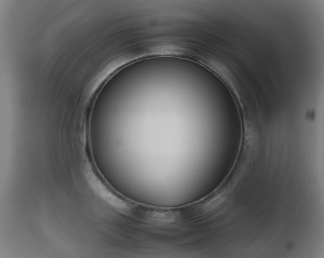 X0000112490843200908241324