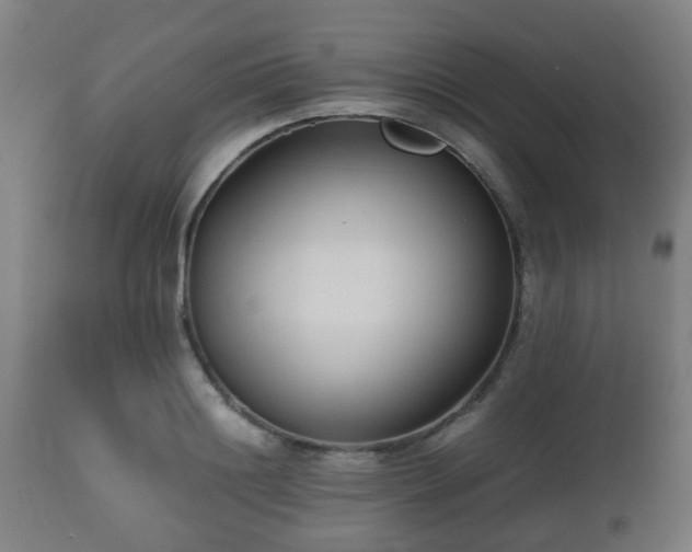 X0000112490844200908241324