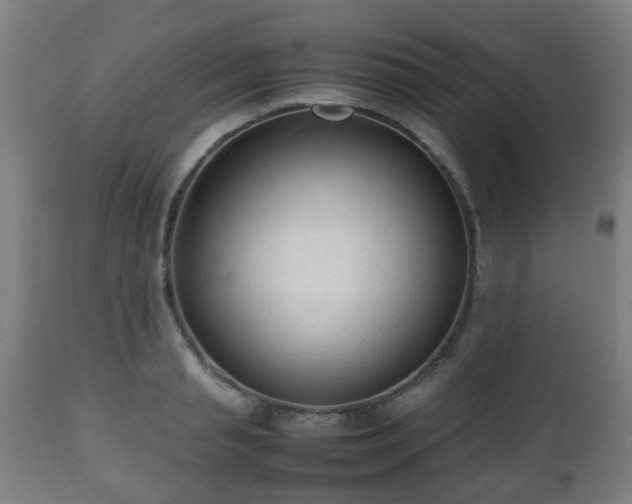 X0000112490845200908241324