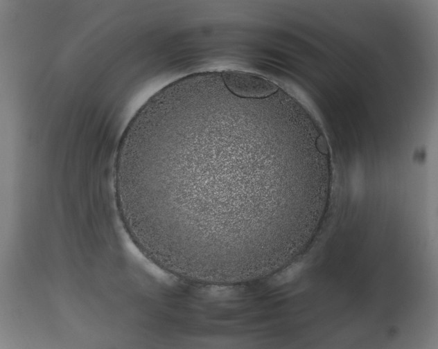 X0000112490847200908241324