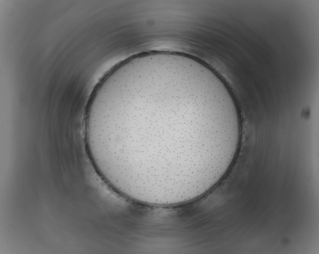 X0000112490848200908241324