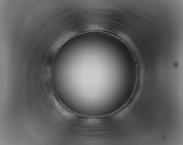 X0000112490849200908241324