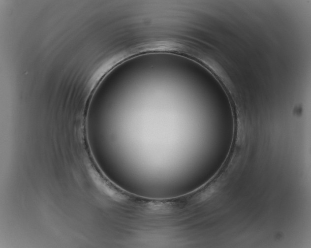 X0000112490850200908241324