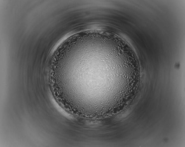 X0000112490851200908241324