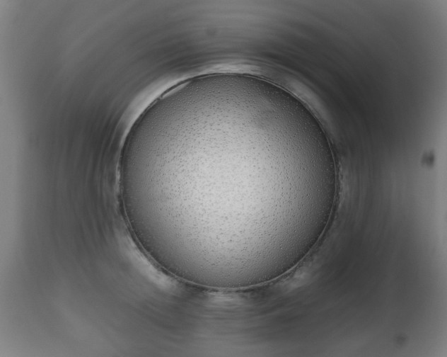 X0000112490852200908241324