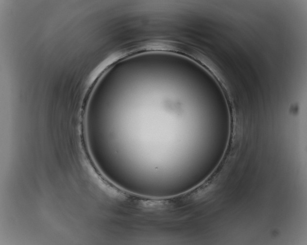 X0000112490853200908241324