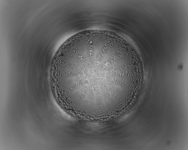 X0000112490855200908241324