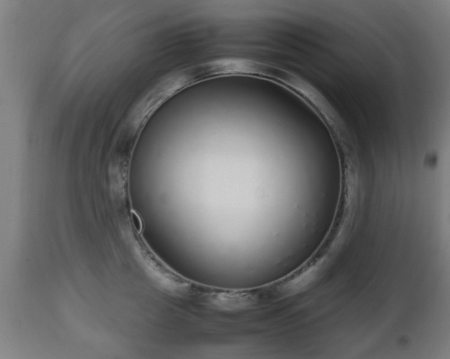 X0000112490857200908241324