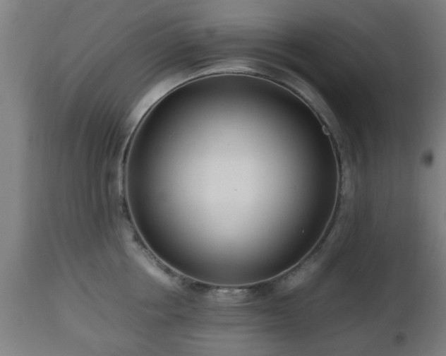 X0000112490858200908241324