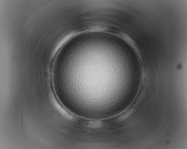 X0000112490859200908241324