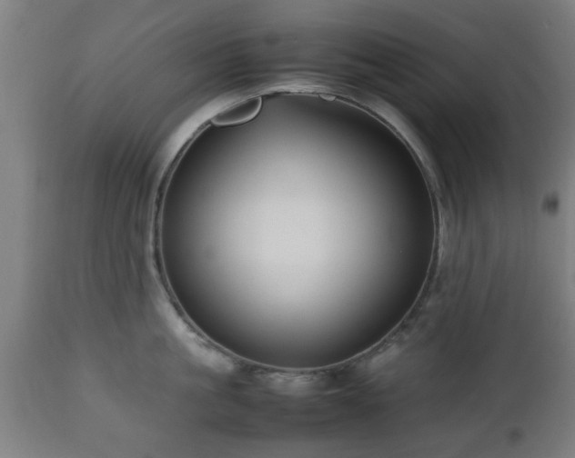 X0000112490861200908241324