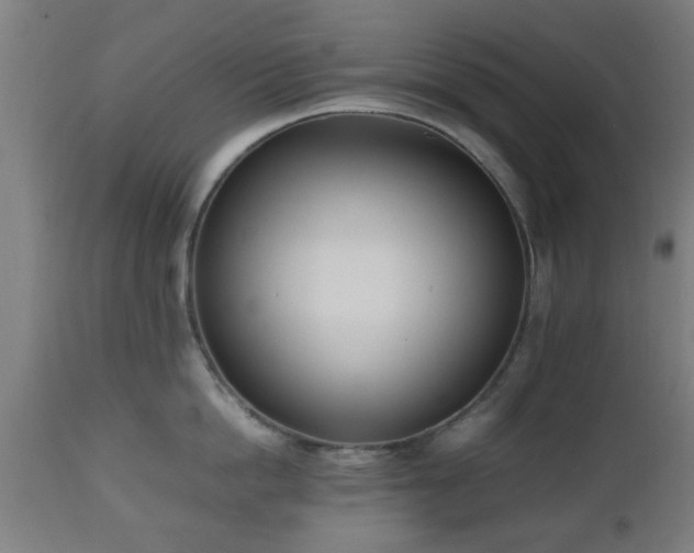 X0000112490862200908241324