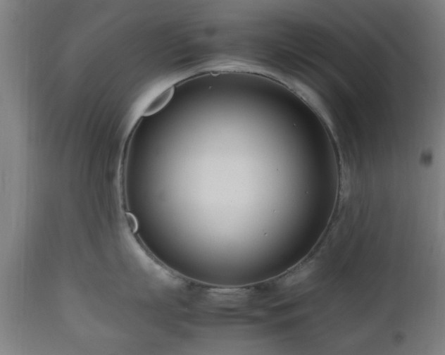 X0000112490863200908241324