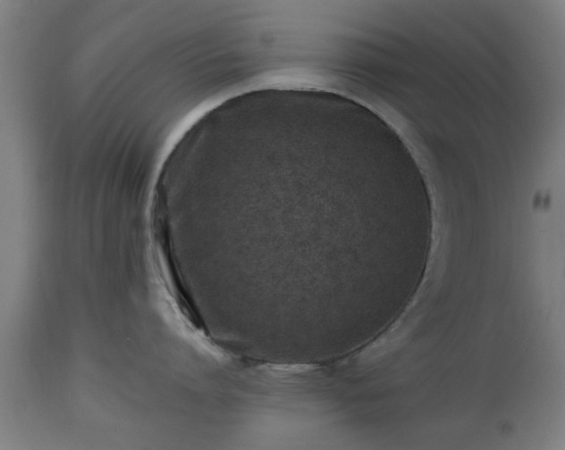 X0000112490864200908241324