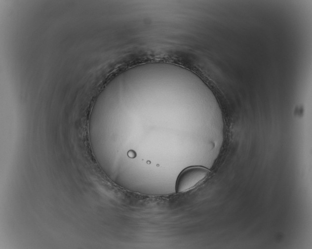 X0000112490865200908241323