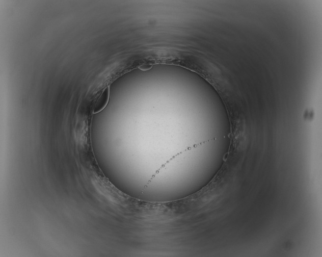 X0000112490866200908241323