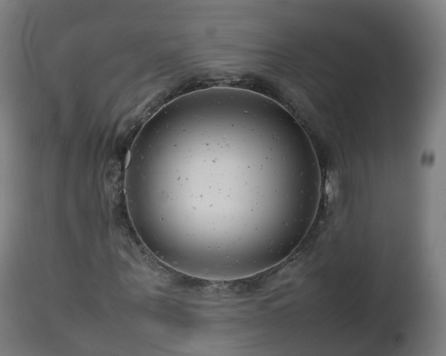 X0000112490867200908241323