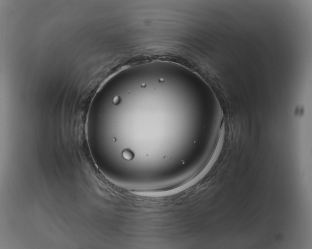 X0000112490868200908241323