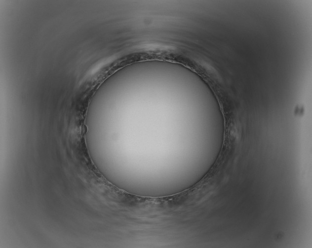 X0000112490869200908241323