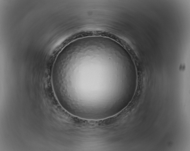 X0000112490871200908241323