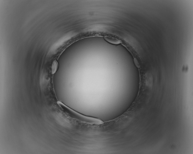 X0000112490872200908241323