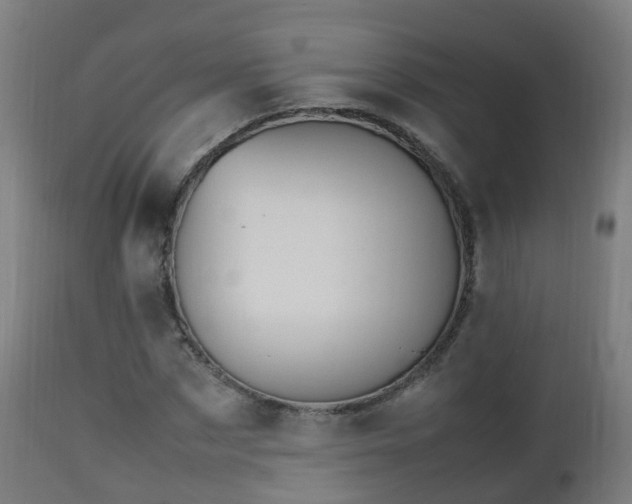 X0000112490873200908241323