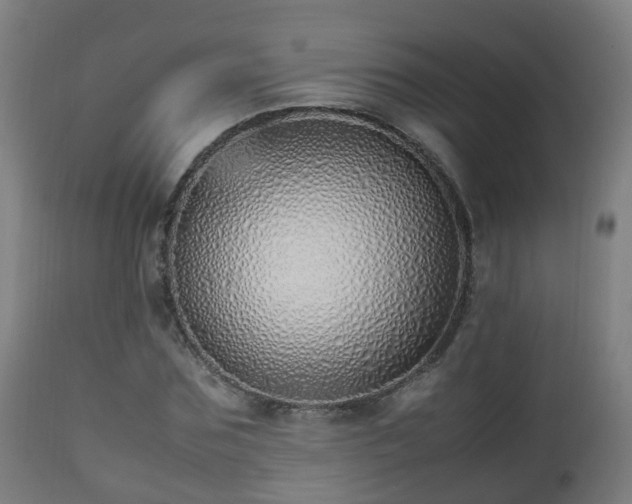 X0000112490875200908241323