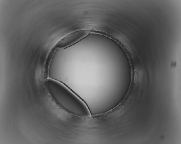 X0000112490876200908241323